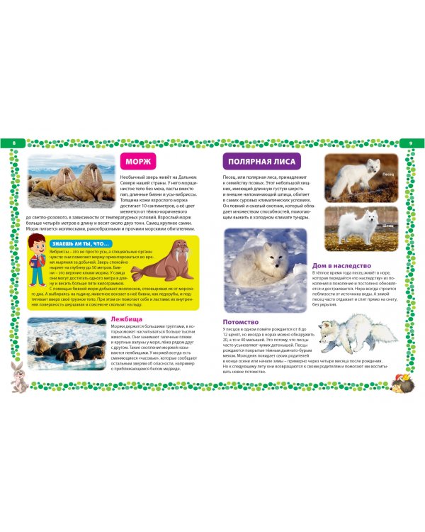 Большая книга о животных. Иллюстрированная энциклопедия