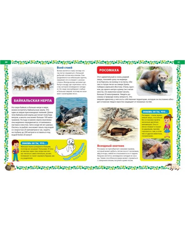 Большая книга о животных. Иллюстрированная энциклопедия