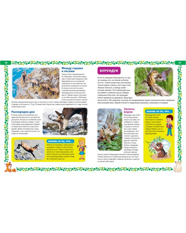 Большая книга о животных. Иллюстрированная энциклопедия