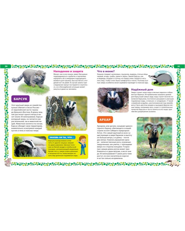 Большая книга о животных. Иллюстрированная энциклопедия