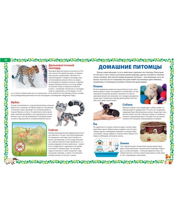 Большая книга о животных. Иллюстрированная энциклопедия