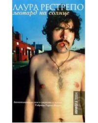 Леопард на солнце