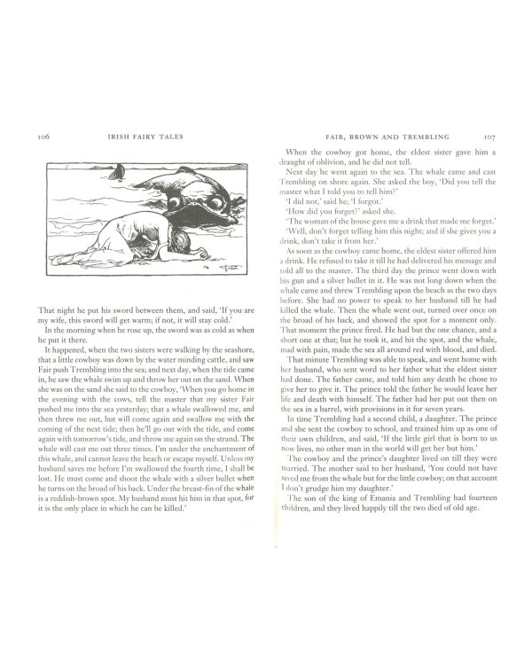 Irish Fairy Tales