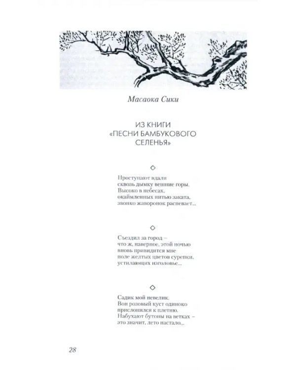 Гроздья Глицинии: Поэзия танка, хайку и киндайси японского Серебряного века