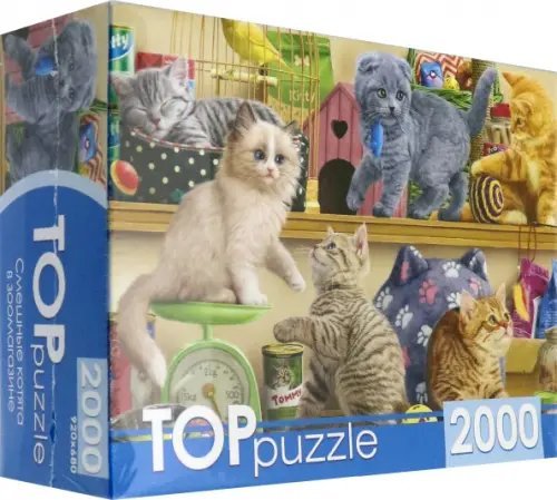 Пазл. Toppuzzle. Смешные котята в зоомагазине, 2000 элементов