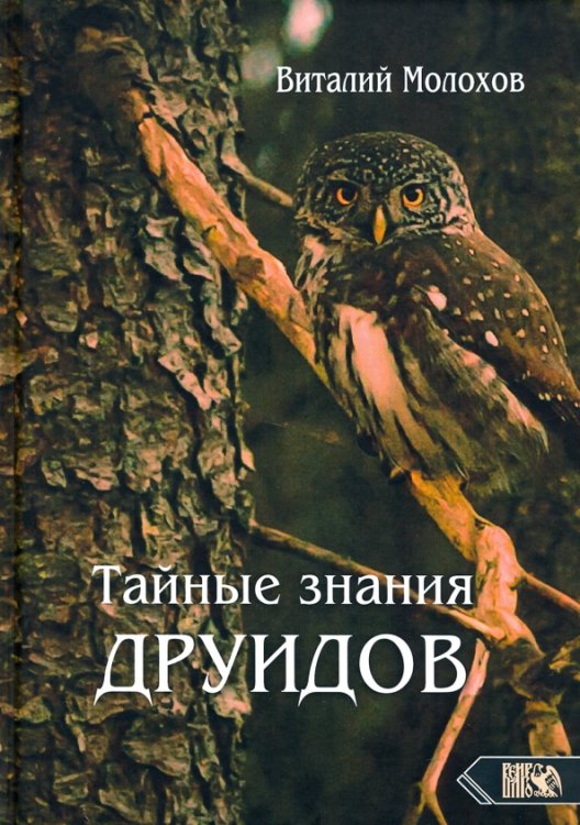 Обложка книги «Тайные знания друидов» — Молохов Виталий Валерьевич, ISBN 9785888758809