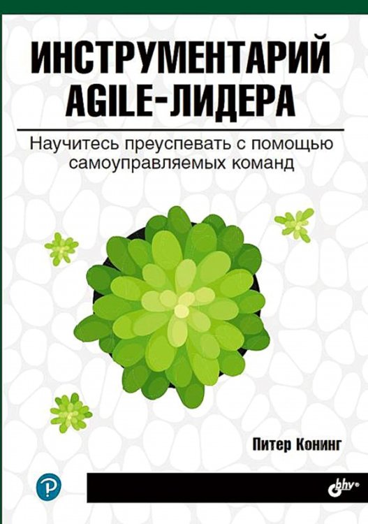 Инструментарий agile-лидера. Научитесь преуспевать с помощью самоуправляемых команд
