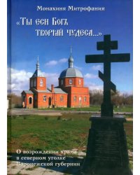 "Ты еси Бог творяй чудеса..." О возрождении храма в северном уголке Воронежской губернии
