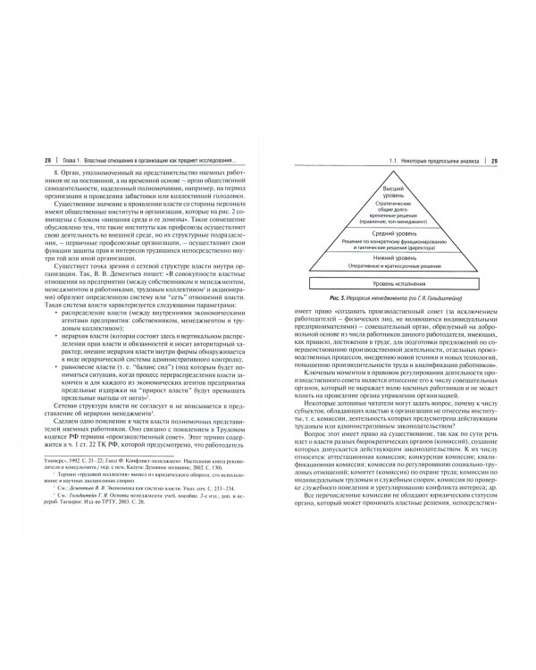 Властные отношения в системе организационного поведения. Теория и практика. Монография