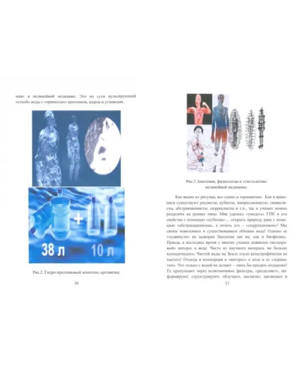 Руководство по нелинейной (фрактальной) медицине