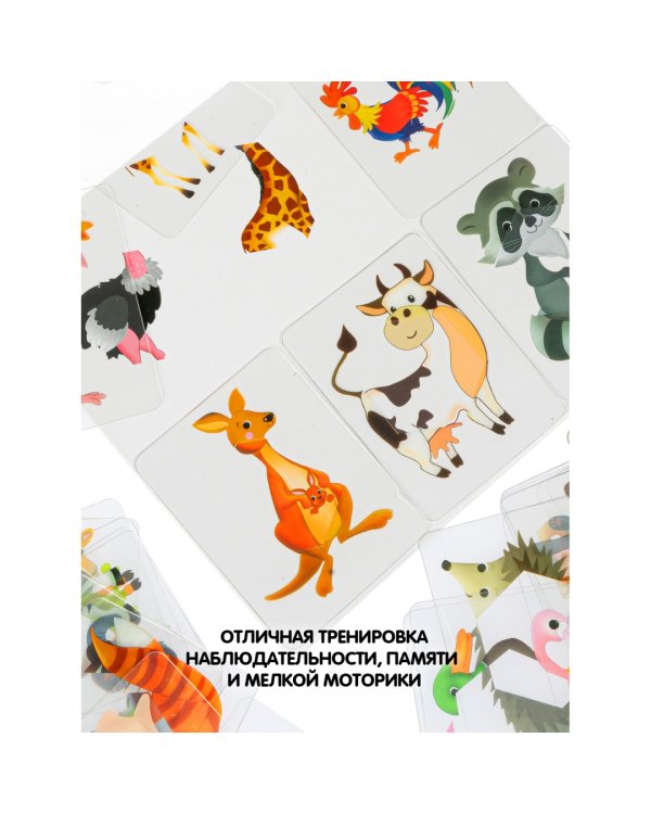 Лото. Кто это спрятался?
