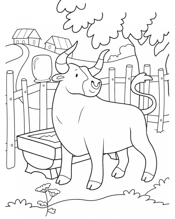 Домашние животные