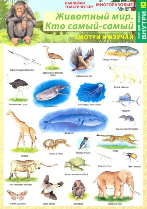 Наклейки тематические "Животный мир. Кто самый-самый", многоразовые (+ поле для наклеек)