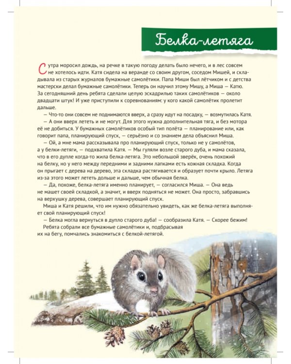 Кто где живёт? Звери и птицы леса