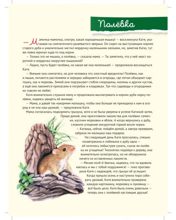 Кто где живёт? Звери и птицы леса