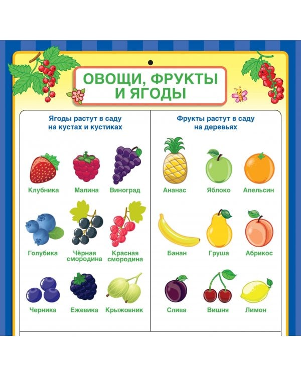 Все, что нужно знать малышу от 2 до 5 лет