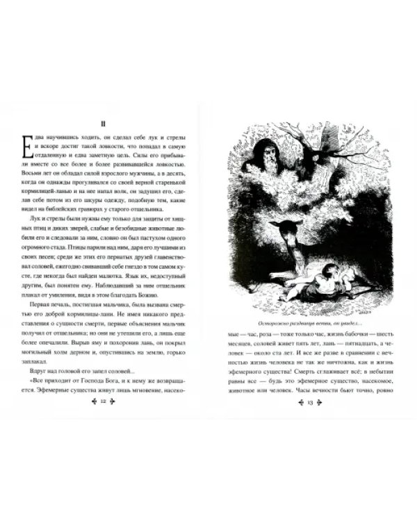 Приключения Лидерика. Амори