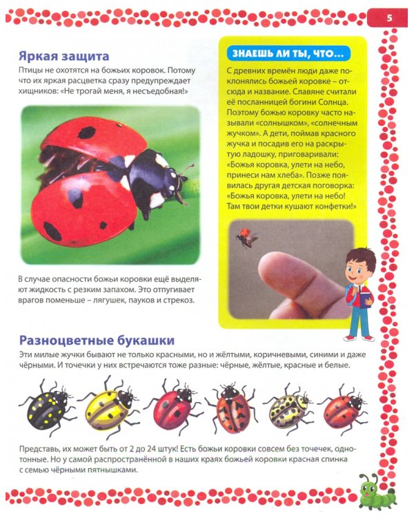 Большая книга о насекомых. Иллюстрированная энциклопедия