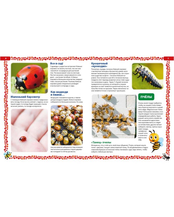 Большая книга о насекомых. Иллюстрированная энциклопедия