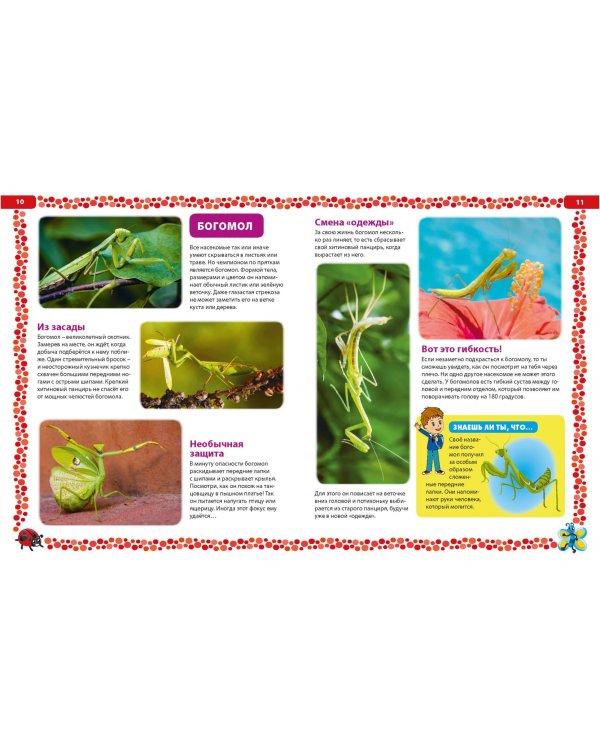 Большая книга о насекомых. Иллюстрированная энциклопедия