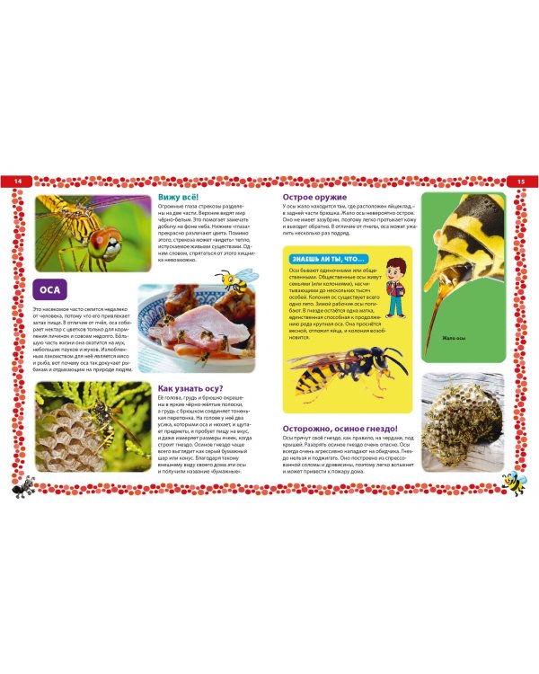 Большая книга о насекомых. Иллюстрированная энциклопедия