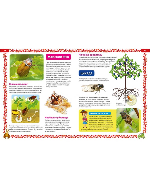 Большая книга о насекомых. Иллюстрированная энциклопедия