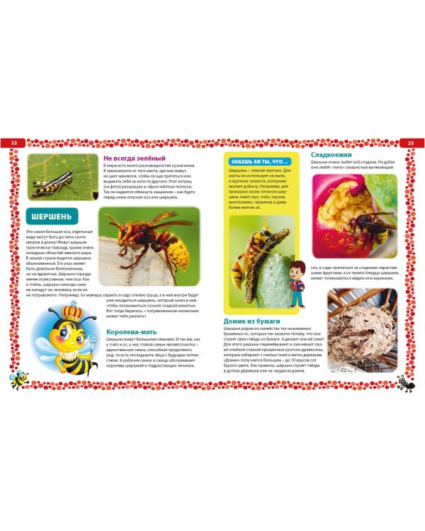 Большая книга о насекомых. Иллюстрированная энциклопедия