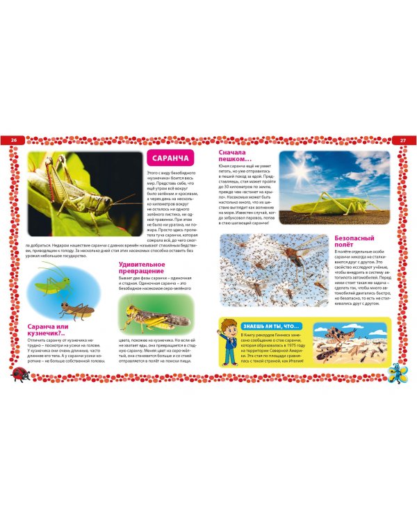 Большая книга о насекомых. Иллюстрированная энциклопедия