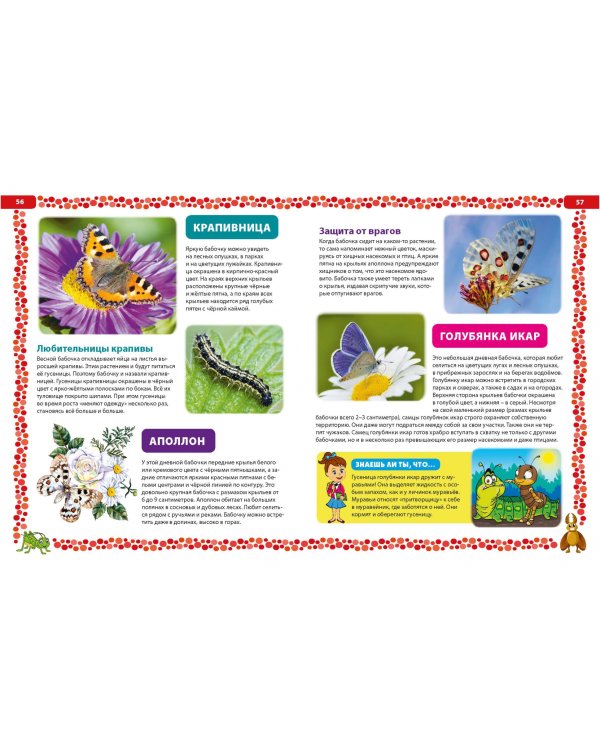 Большая книга о насекомых. Иллюстрированная энциклопедия