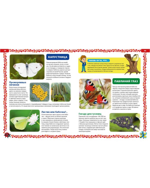 Большая книга о насекомых. Иллюстрированная энциклопедия