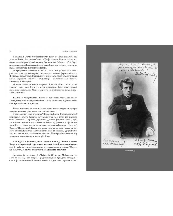 Чайка На воде. Роман о комедии