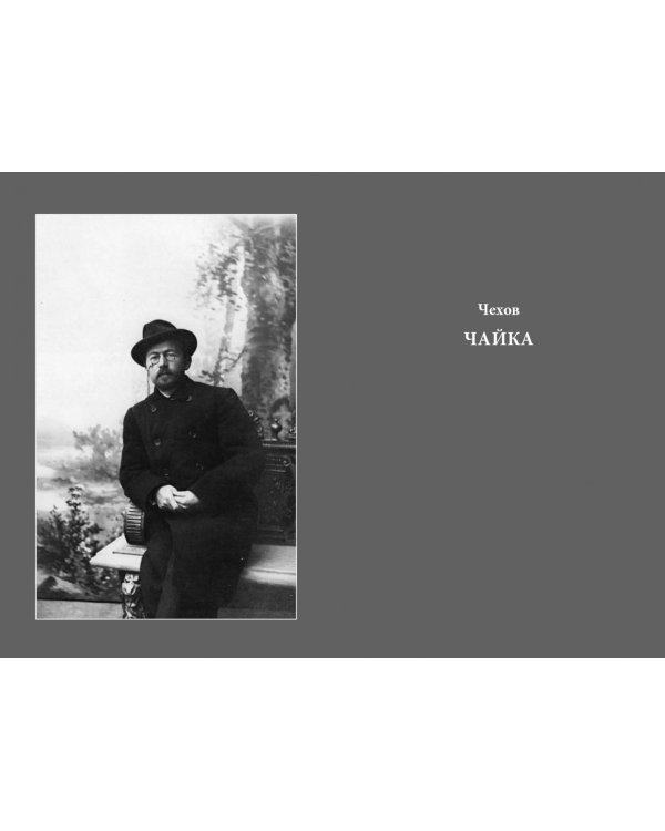 Чайка На воде. Роман о комедии