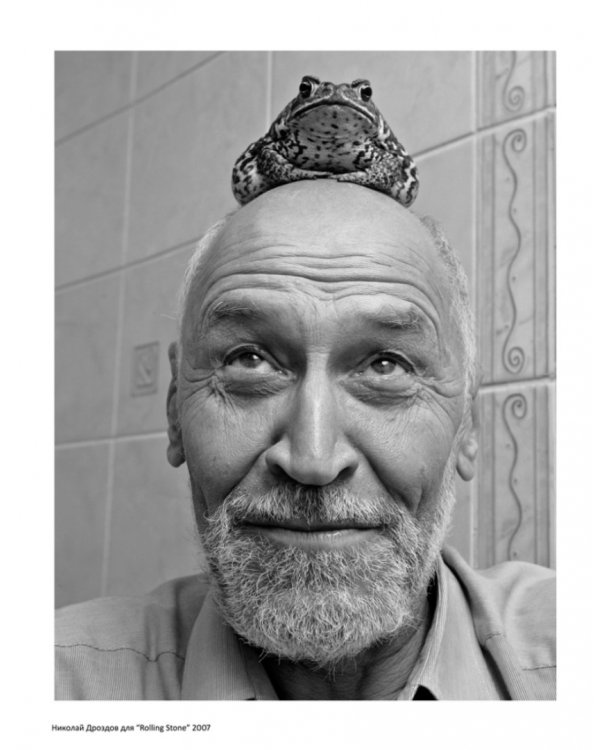 Стоп-кадр. Фотоальбом. Избранное