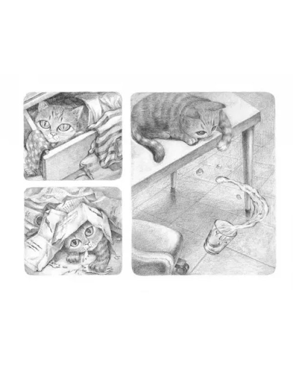 Потерялся кот