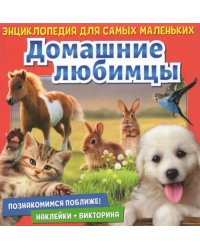 Познакомимся поближе! Домашние любимцы