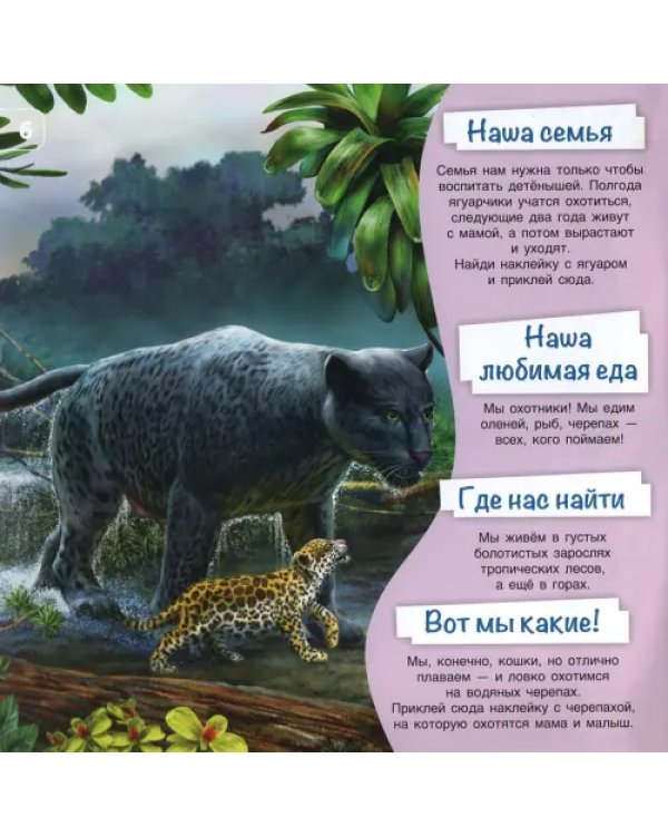 Познакомимся поближе! Жители джунглей