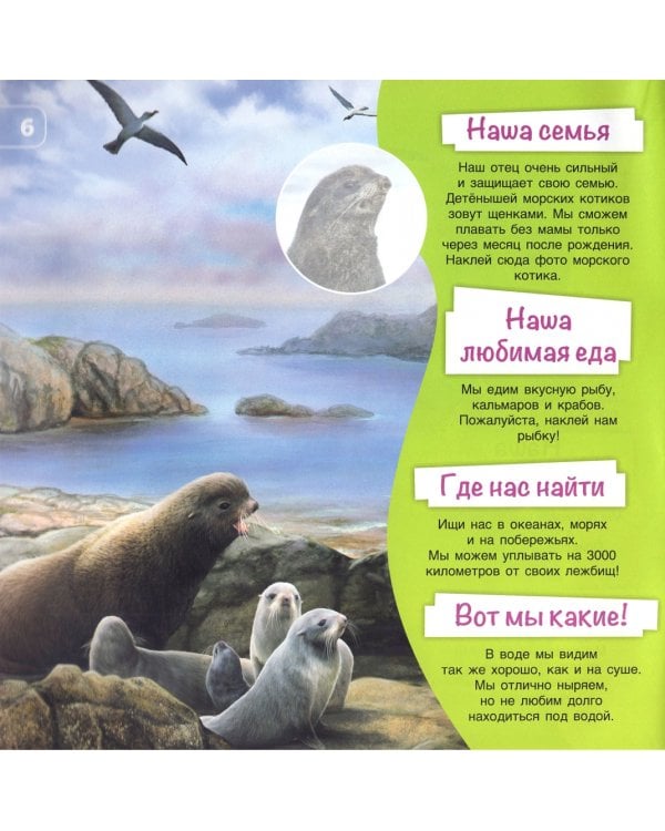 Дополнительное изображение книги «Познакомимся поближе! Морские жители»
