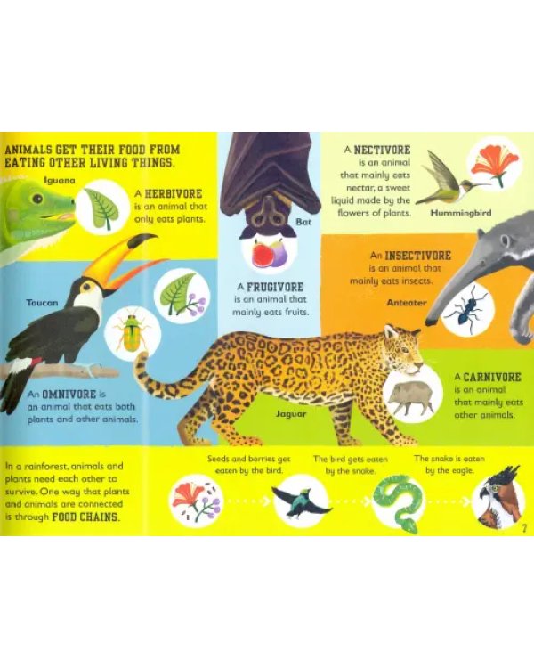 The Rainforest Book