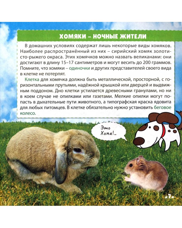Питомцы