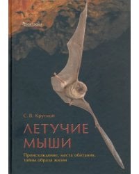 Летучие мыши. Происхождение, места обитания