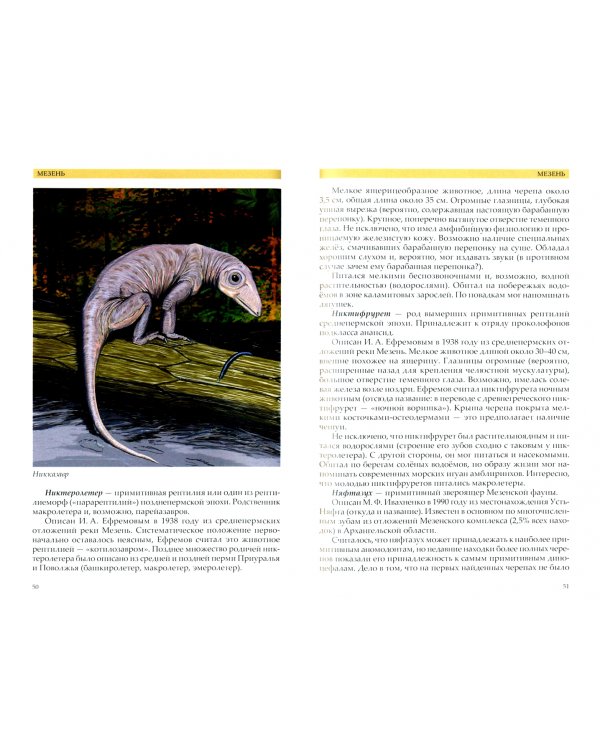 Пермь России. Звероящеры и их соседи