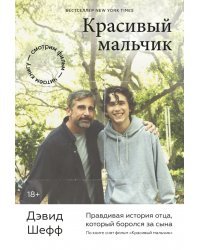Красивый мальчик. Правдивая история отца, который боролся за сына