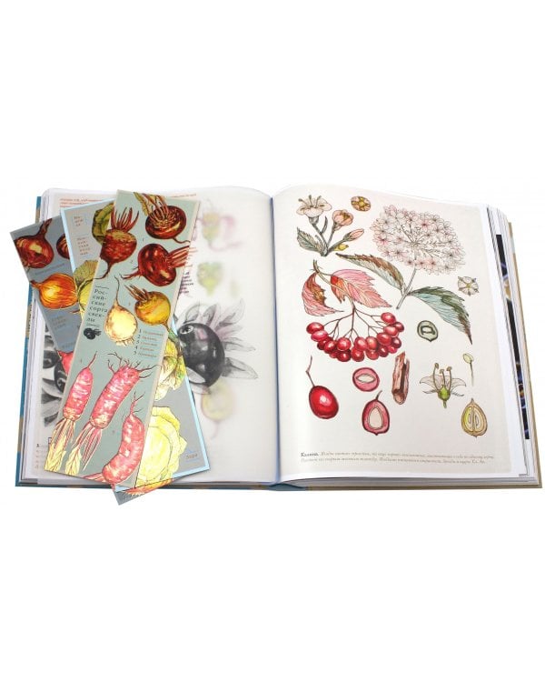 Архитектор Василий Косяков