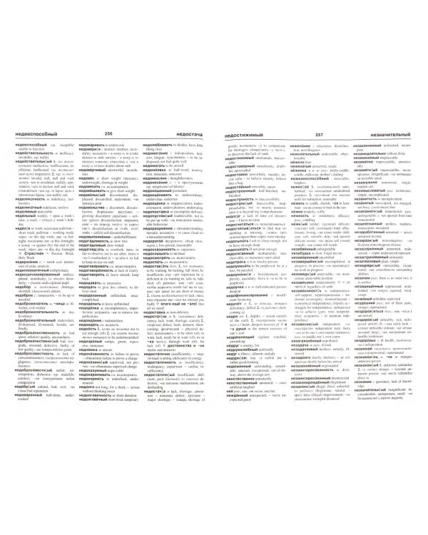 Новый большой русско-английский словарь