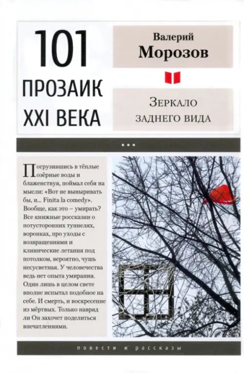 101 прозаик XXI века Зеркало заднего вида