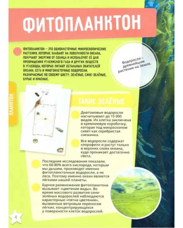 Мировой океан. Невероятные факты