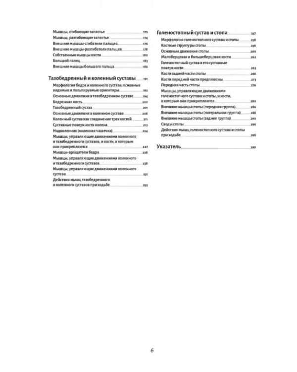 Анатомия движения. Человеческое тело