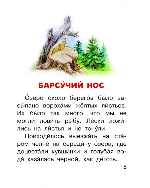 Барсучий нос