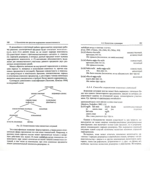 Типология комитативных конструкций
