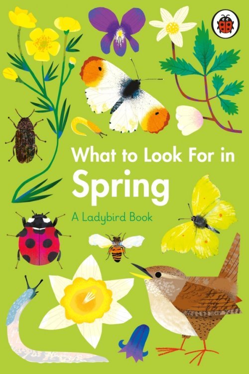 What to Look For in Spring What to Look For in Spring